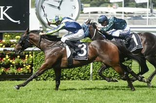 He's Our Rokkii winning the Group 3 Frank Packer Plate. Photo: Bradley Photography